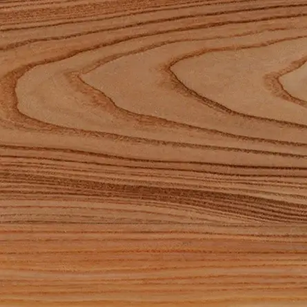 Olmo unikolegno